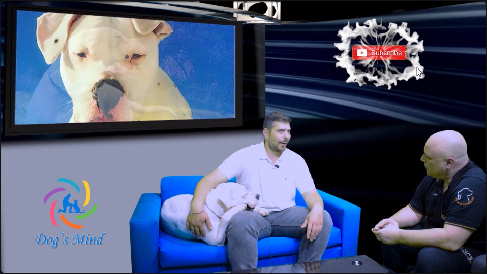 Dogo Argentino εκπαίδευση σκύλων