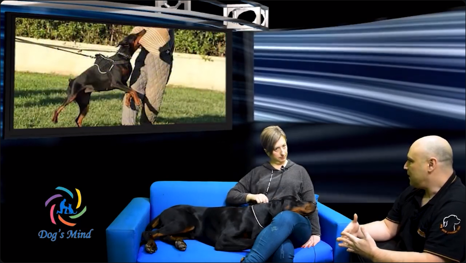 ντόμπερμαν εκπαίδευση σκύλων