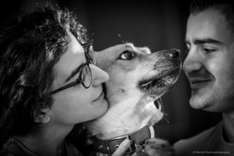 επιλογή σκύλου, Χρήστος Κούτσης, εκπαιδευτής σκύλων