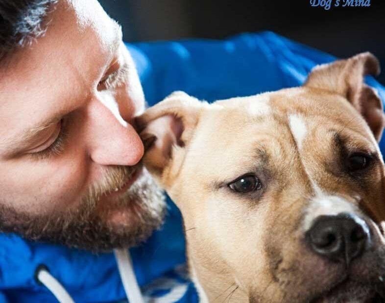 ο καλύτερος εκπαιδευτής σκύλων;