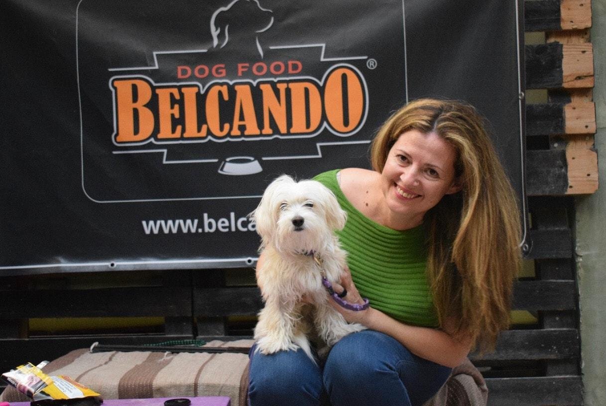 εκπαίδευση σκύλων παιχνίδι