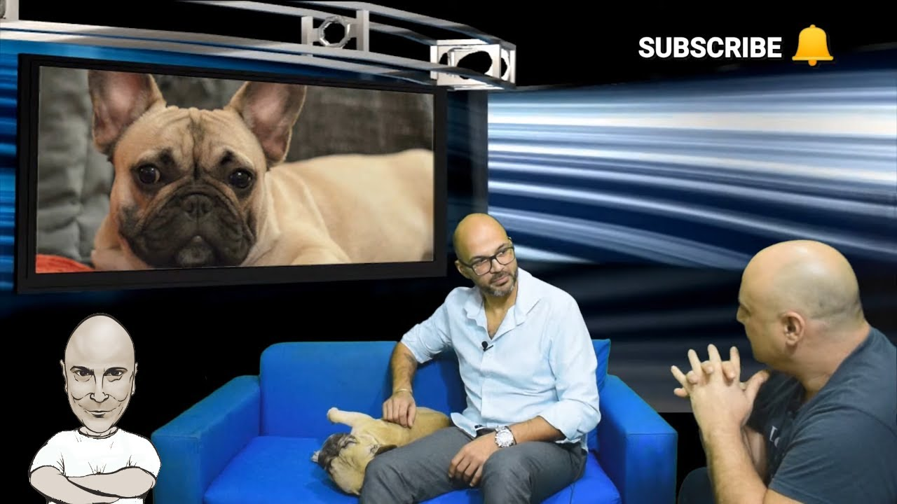 Γαλλικό Bulldog French Bulldog τα πάντα από τον εκτροφέα Νικόλαο Ρουσίδη