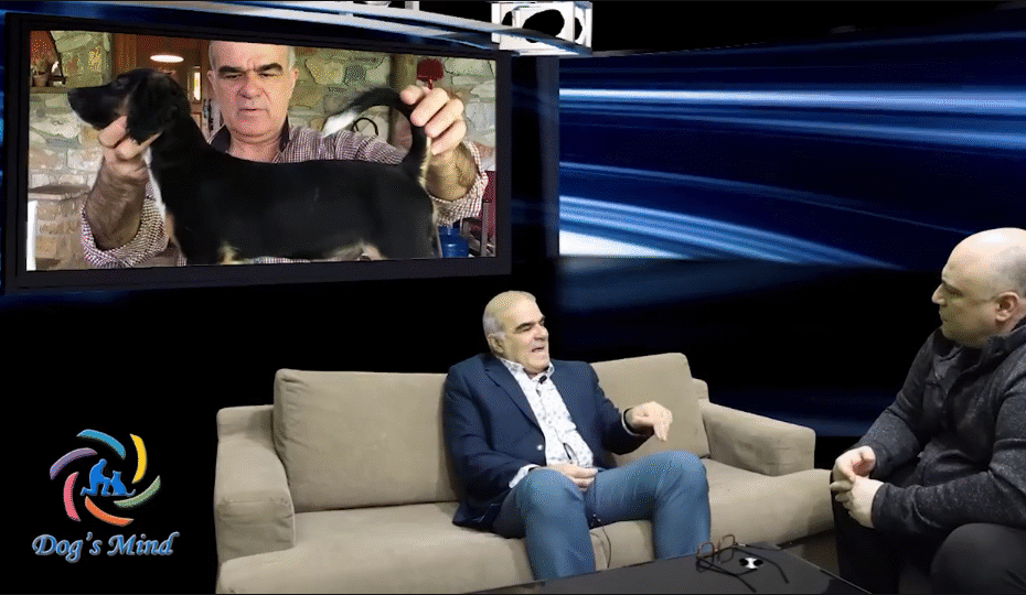 εκπαίδευση σκύλου κοκόνι